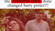 Harry Potter Christmas GIF - Harry Potter Christmas GIFs