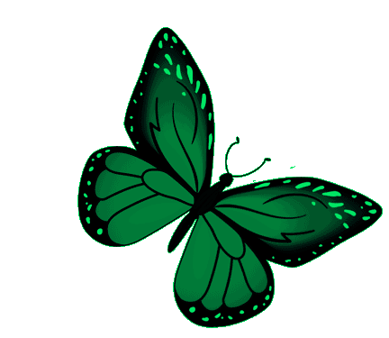 green butterfly images