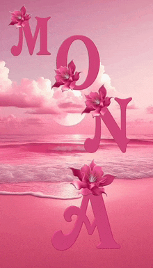 the letters m and n are on a pink background with flowers