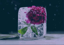 Melting Ice Flower GIF - Melting Ice Flower Melting GIFs
