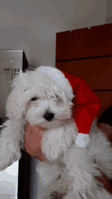 Merry Christmas Maltes GIF - Merry Christmas Maltes Little Dog GIFs