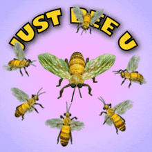 Just Bee U Just Be You GIF - Just Bee U Just Be You Be Yourself GIFs