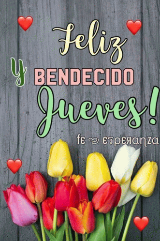 Bendiciones Feliz Jueves GIF - Bendiciones Feliz Jueves Bendecido Jueves -  Discover & Share GIFs