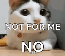 a cat is laying on a person 's lap with the words `` not for me no '' written on it .