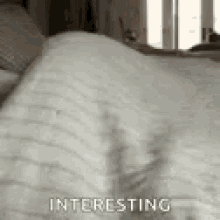 a cat is laying on a bed with the words interesting written on the bottom of it .