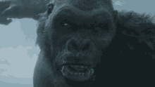 Shout King Kong GIF - Shout King Kong Call Of Duty Warzone GIFs