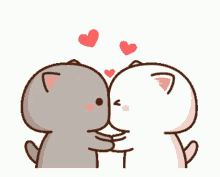 Cat Kiss GIF