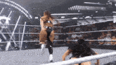 two women are wrestling in a ring with the letters wm on the bottom right