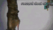 a blurred image of a tree with the words record deal at the bottom