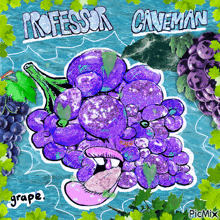 a cartoon drawing of purple grapes with the words professor caveman written above it