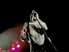 Freddie Mercury 70s Freddie GIF - Freddie Mercury 70s Freddie Kelsisman GIFs