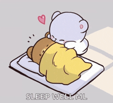 a cartoon of a teddy bear laying on a bed with the words " sleep well ml " below it