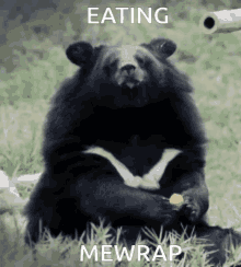 Bear Bear Eating GIF
