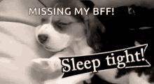 Puppy Sleep Tight GIF