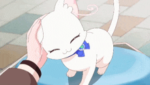 a white cat with a blue bow around its neck is being petted by a person