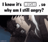 i know it 's mushi , so why am i still angry