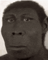 a close up of a person 's face with a ponytail