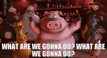 Barnyard Pig GIF - Barnyard Pig What Are We Gonna Do GIFs