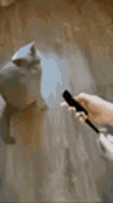 Cat Puke GIF - Cat Puke Gag GIFs