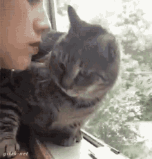 GIF
