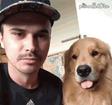 Smiling The Pet Collective GIF - Smiling The Pet Collective Tongue Out GIFs