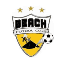 Fifa Beach Soccer Video Game GIF - Fifa Beach Soccer Video Game Gamers -  Discover & Share GIFs