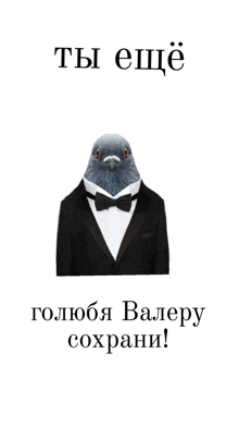 a picture of a pigeon wearing a tuxedo with the words " ты еще " on the bottom