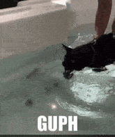 Guph Guf GIF - Guph Gup Guf GIFs