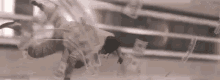a man is doing a handstand in front of a bunch of money .