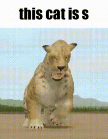 Cs Cenozoic Survival GIF - Cs Cenozoic Survival This Cat Is GIFs