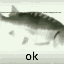 Insult Fish Ouch GIF - Insult Fish Ouch Twitter GIFs