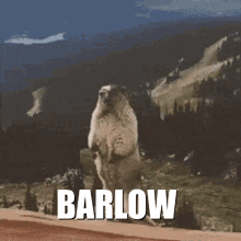 Barlow Scream GIF - Barlow Scream Mudae GIFs