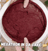 Megatron Cat GIF - Megatron Cat Tiktok GIFs