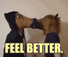 Feel Better GIF - Feel Better Horse GIFs