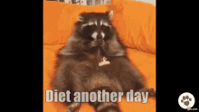 Diet Eating GIF