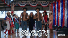 Horse Drug In Look What The Horse Drug In GIF