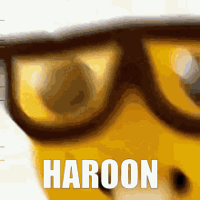 haroon nerdge nerd harun