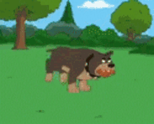 Siutbot Family Guy GIF - Siutbot Family Guy Dog GIFs