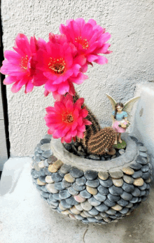 Cactus Flowers GIF