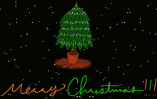 Merry Christmas GIF - Merry Christmas Tree GIFs