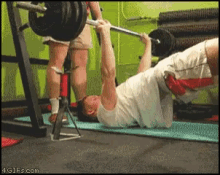 Exercise Weights GIF - Exercise Weights Dog GIFs