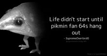 Mr Pikmin Pikmin Fan 64 GIF