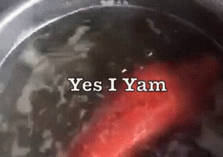 Yes I Yam GIF - Yam Yes Ok GIFs