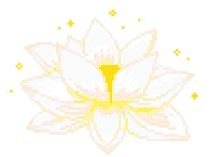 flower lotus