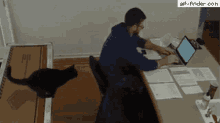 Cat Home Office GIF - Cat Home Office Naughty Cat GIFs