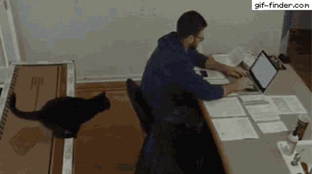 Cat Home Office GIF - Cat Home Office Naughty Cat - Discover & Share GIFs