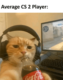 a cat wearing headphones and holding a coca cola bottle