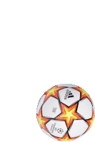 a white adidas soccer ball with a star on it