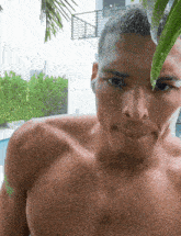 a shirtless man with a green leaf on his face looks at the camera