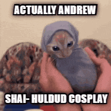 a cat wearing a hijab is being held in someone 's hands